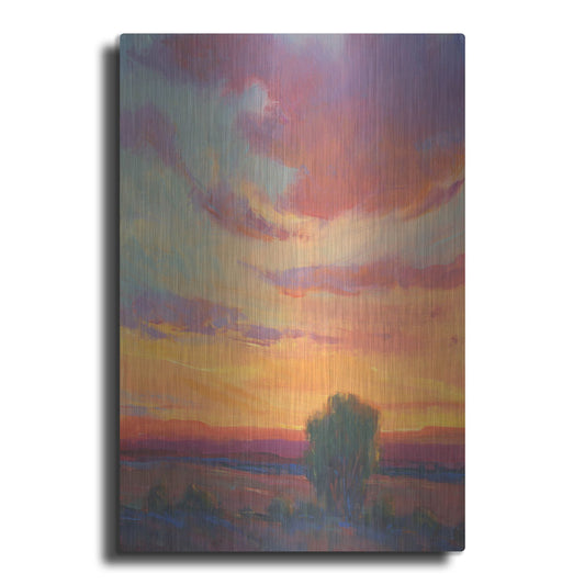 Luxe Metal Art 'Fire in the Sky I' by Tim O'Toole, Metal Wall Art