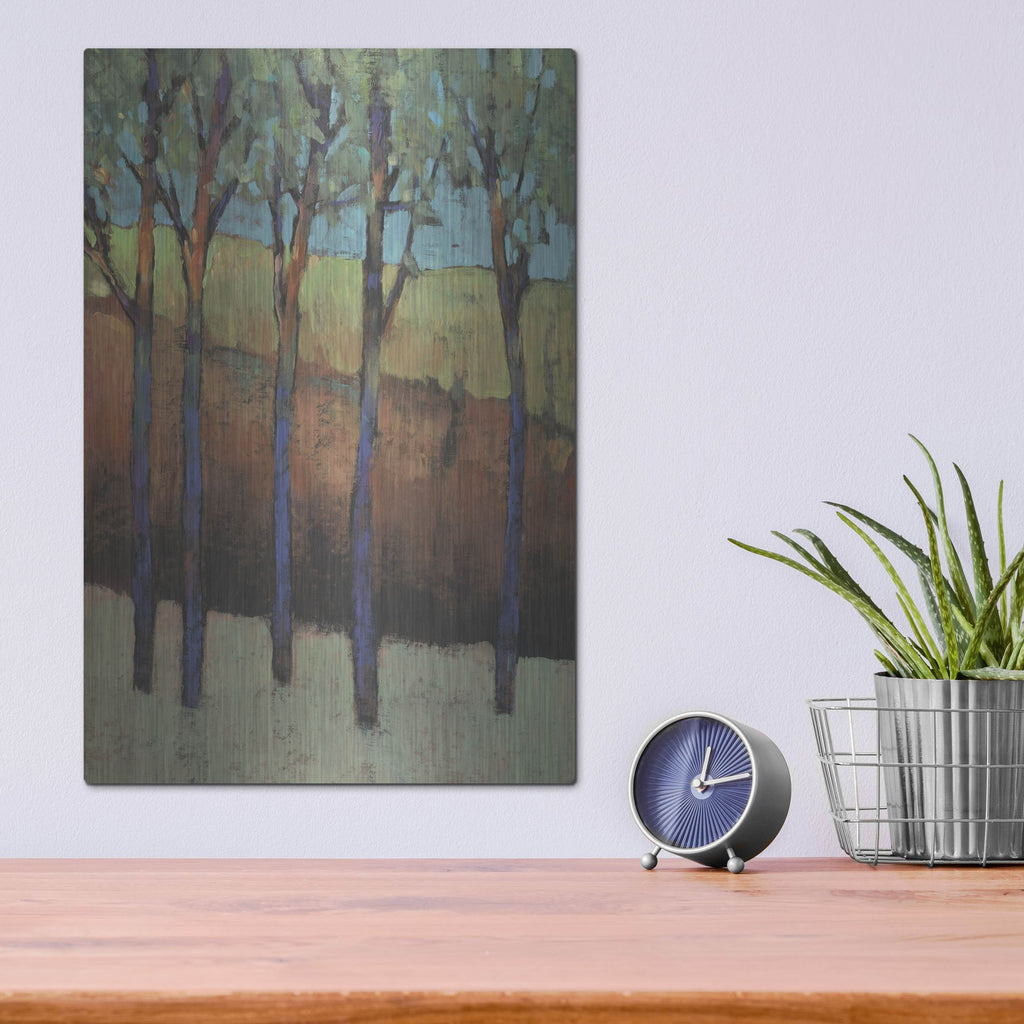 Luxe Metal Art 'Glimmer in the Forest I' by Tim O'Toole, Metal Wall Art,12x16