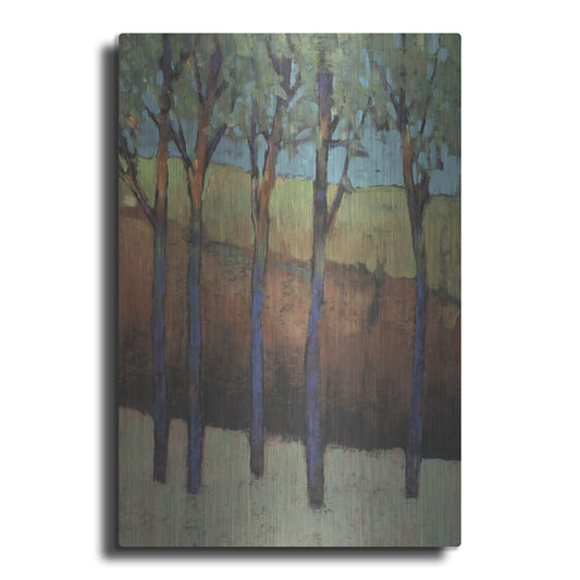 Luxe Metal Art 'Glimmer in the Forest I' by Tim O'Toole, Metal Wall Art