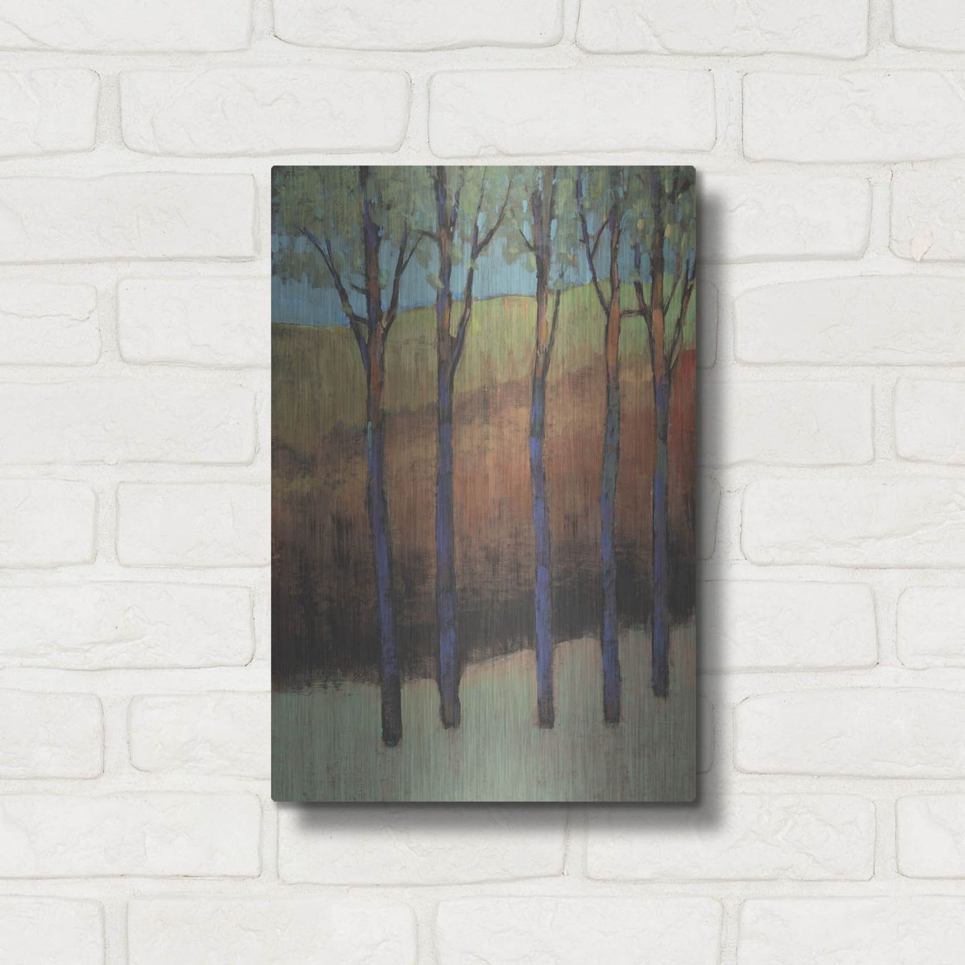 Luxe Metal Art 'Glimmer in the Forest II' by Tim O'Toole, Metal Wall Art,12x16