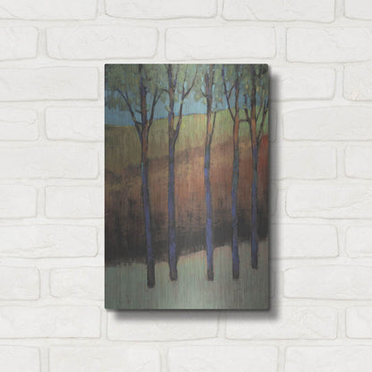 Luxe Metal Art 'Glimmer in the Forest II' by Tim O'Toole, Metal Wall Art,12x16