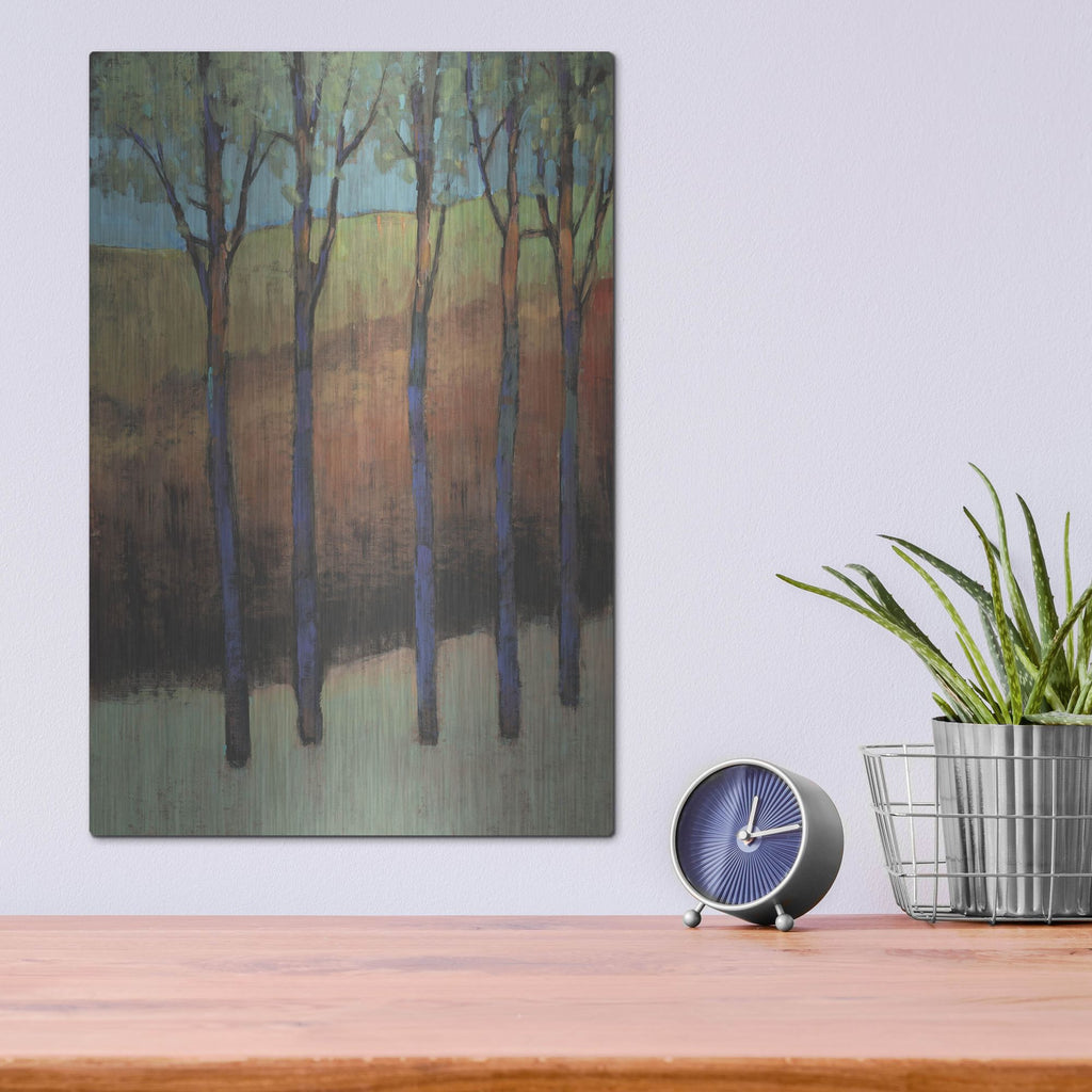 Luxe Metal Art 'Glimmer in the Forest II' by Tim O'Toole, Metal Wall Art,12x16