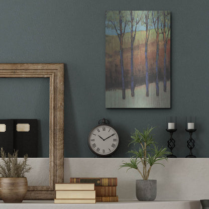 Luxe Metal Art 'Glimmer in the Forest II' by Tim O'Toole, Metal Wall Art,12x16