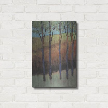 Luxe Metal Art 'Glimmer in the Forest II' by Tim O'Toole, Metal Wall Art,16x24