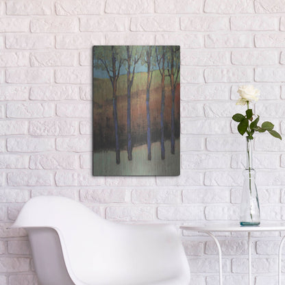 Luxe Metal Art 'Glimmer in the Forest II' by Tim O'Toole, Metal Wall Art,16x24