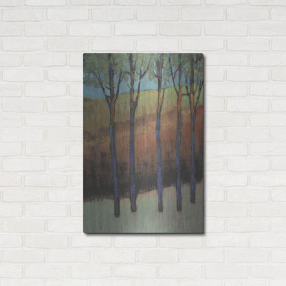 Luxe Metal Art 'Glimmer in the Forest II' by Tim O'Toole, Metal Wall Art,24x36