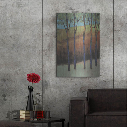 Luxe Metal Art 'Glimmer in the Forest II' by Tim O'Toole, Metal Wall Art,24x36