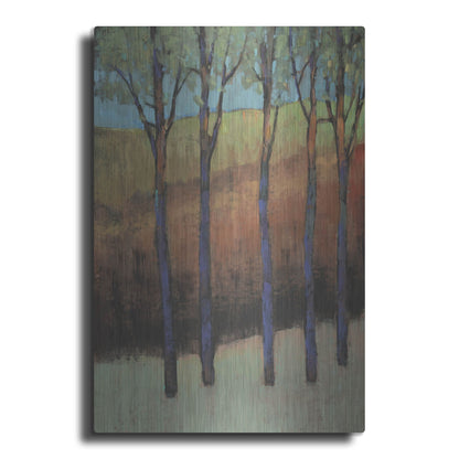 Luxe Metal Art 'Glimmer in the Forest II' by Tim O'Toole, Metal Wall Art