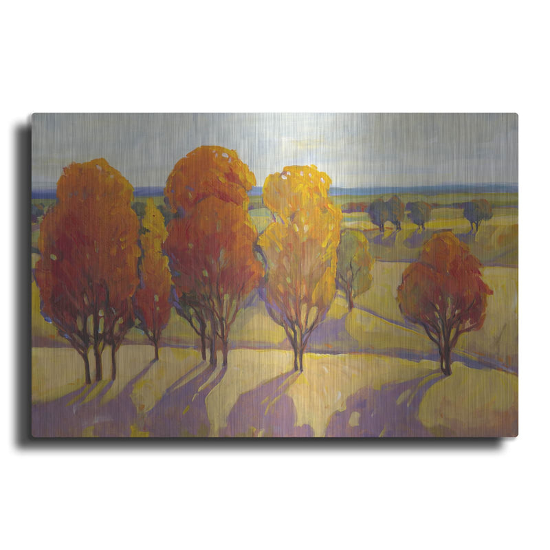 'Day Glow II' by Tim O'Toole – Metal Wall Art