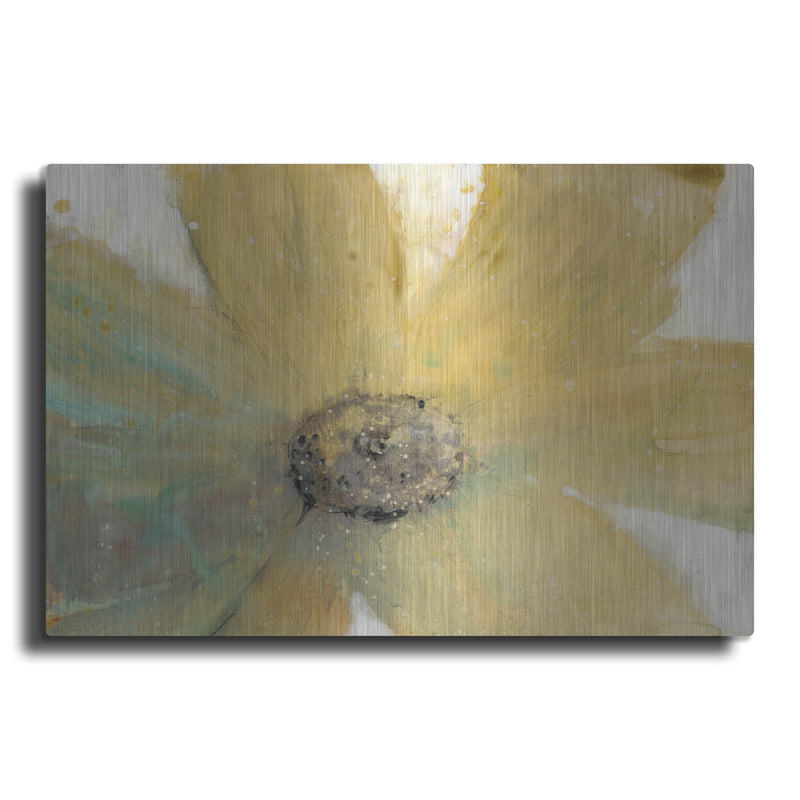 'Floral Spirit II' by Tim O'Toole – Metal Wall Art