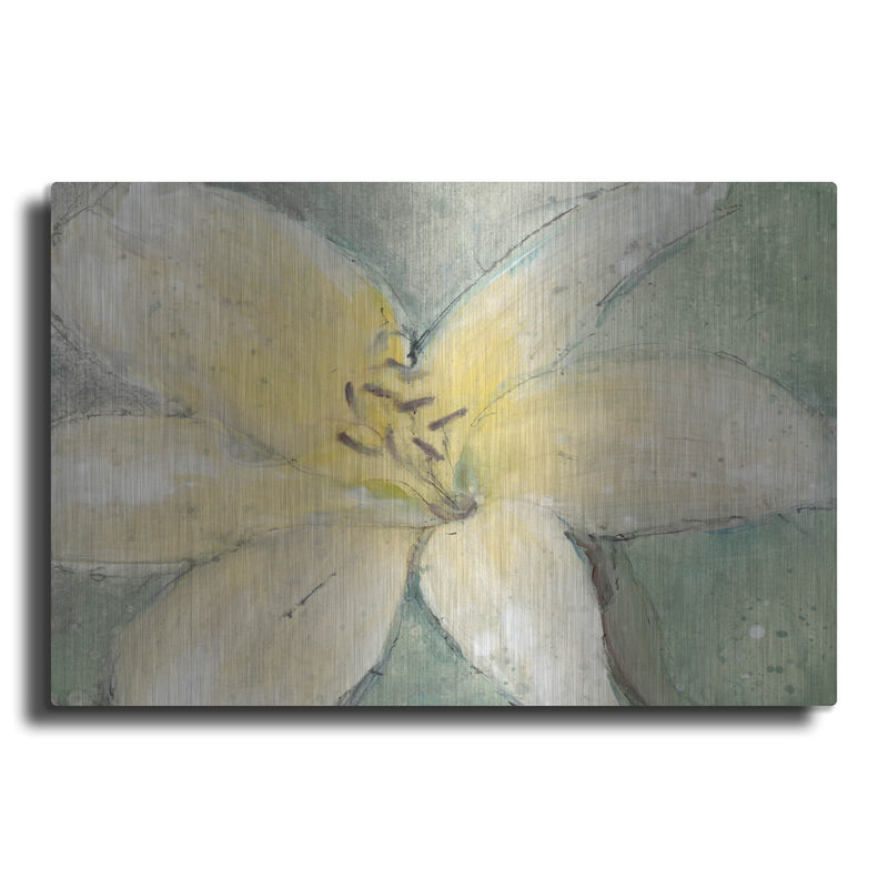 'Floral Spirit III' by Tim O'Toole – Metal Wall Art
