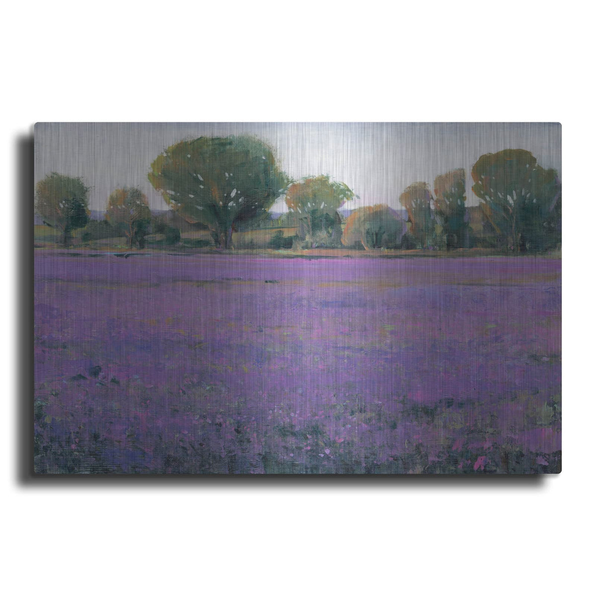 'Lavender Field I' by Tim O'Toole – Metal Wall Art