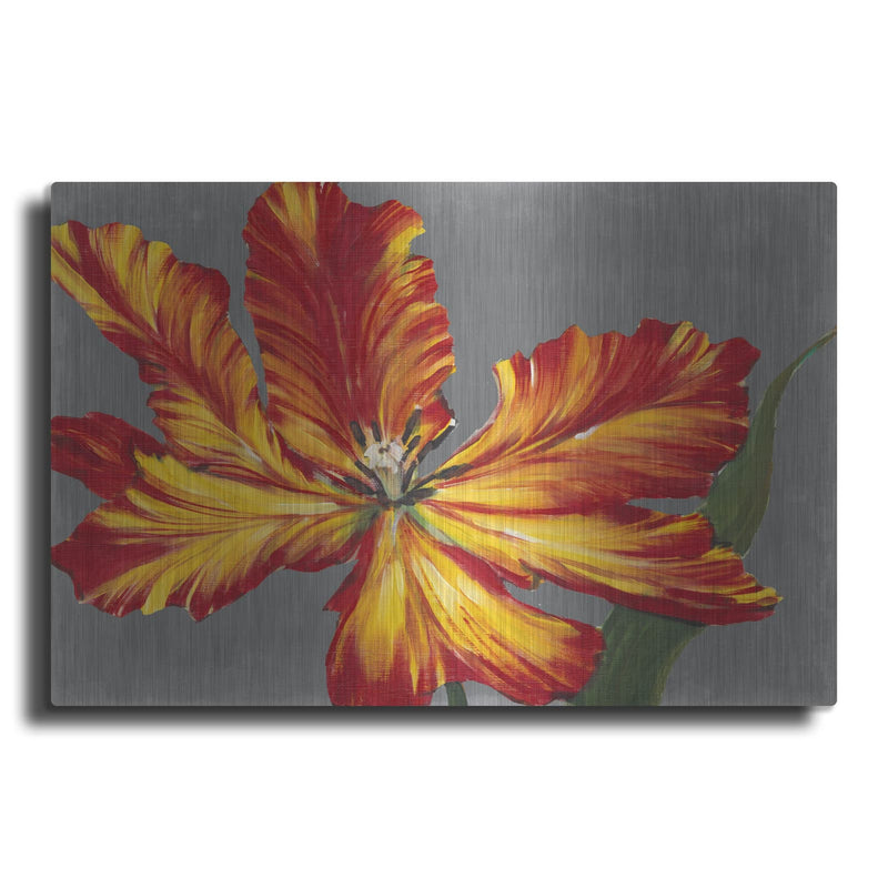 'Tulip Portrait II' by Tim O'Toole – Metal Wall Art