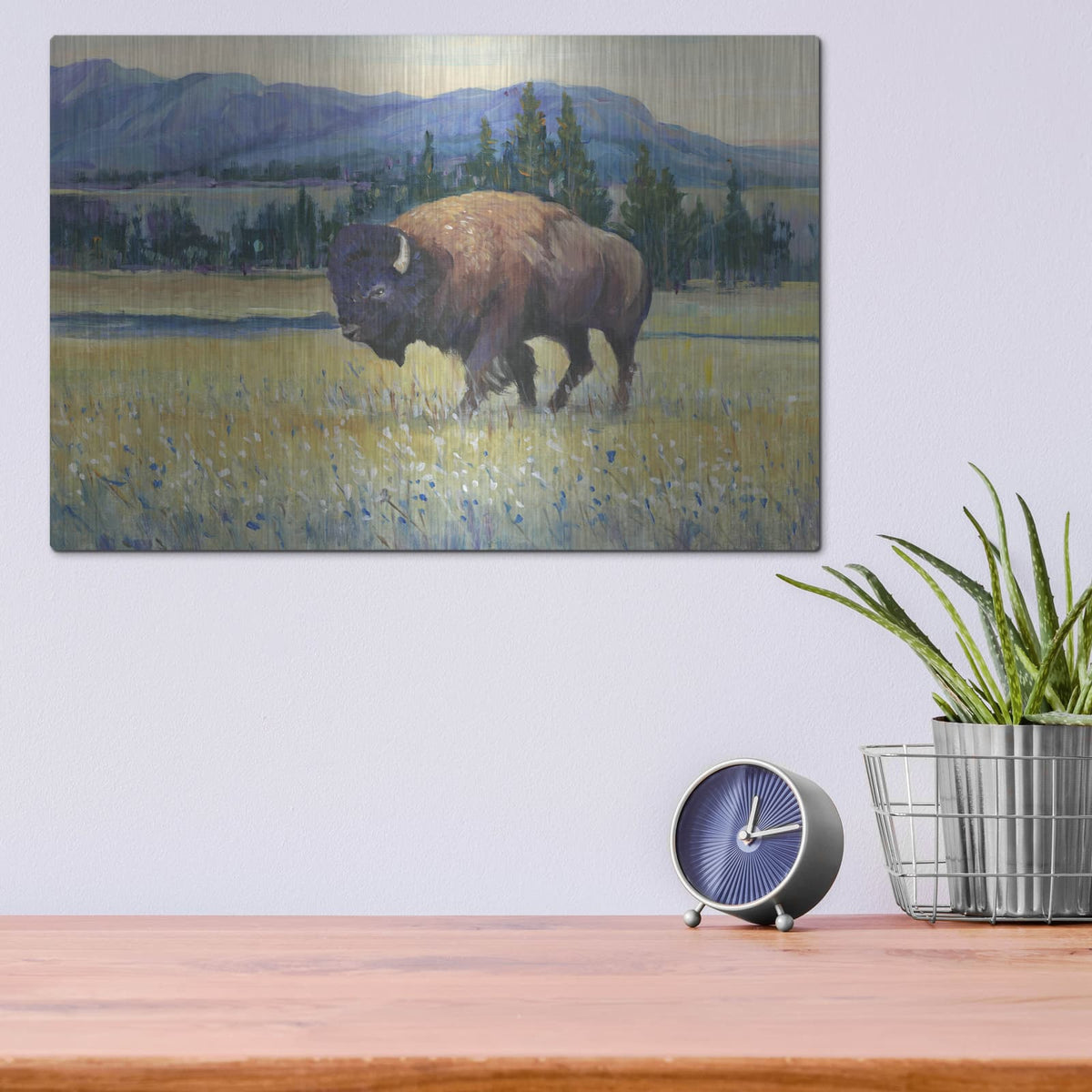 'Animals of the West II' by Tim O'Toole – Metal Wall Art, 16x12 room view