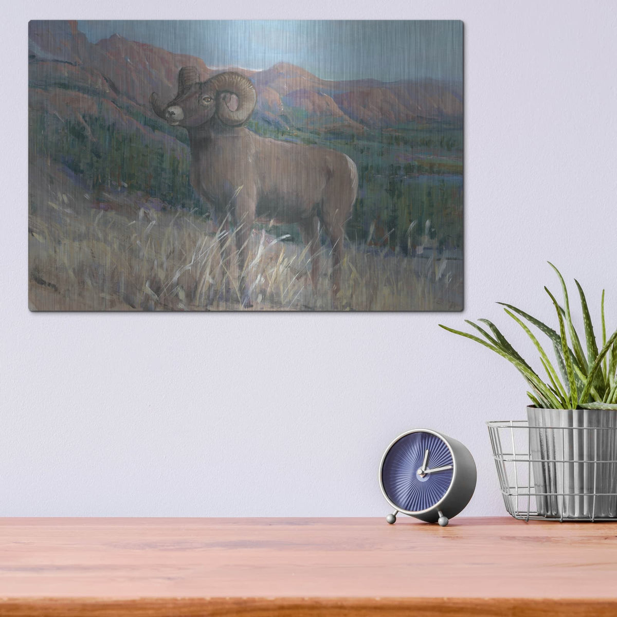 'Animals of the West IV' by Tim O'Toole – Metal Wall Art, 16x12 room view
