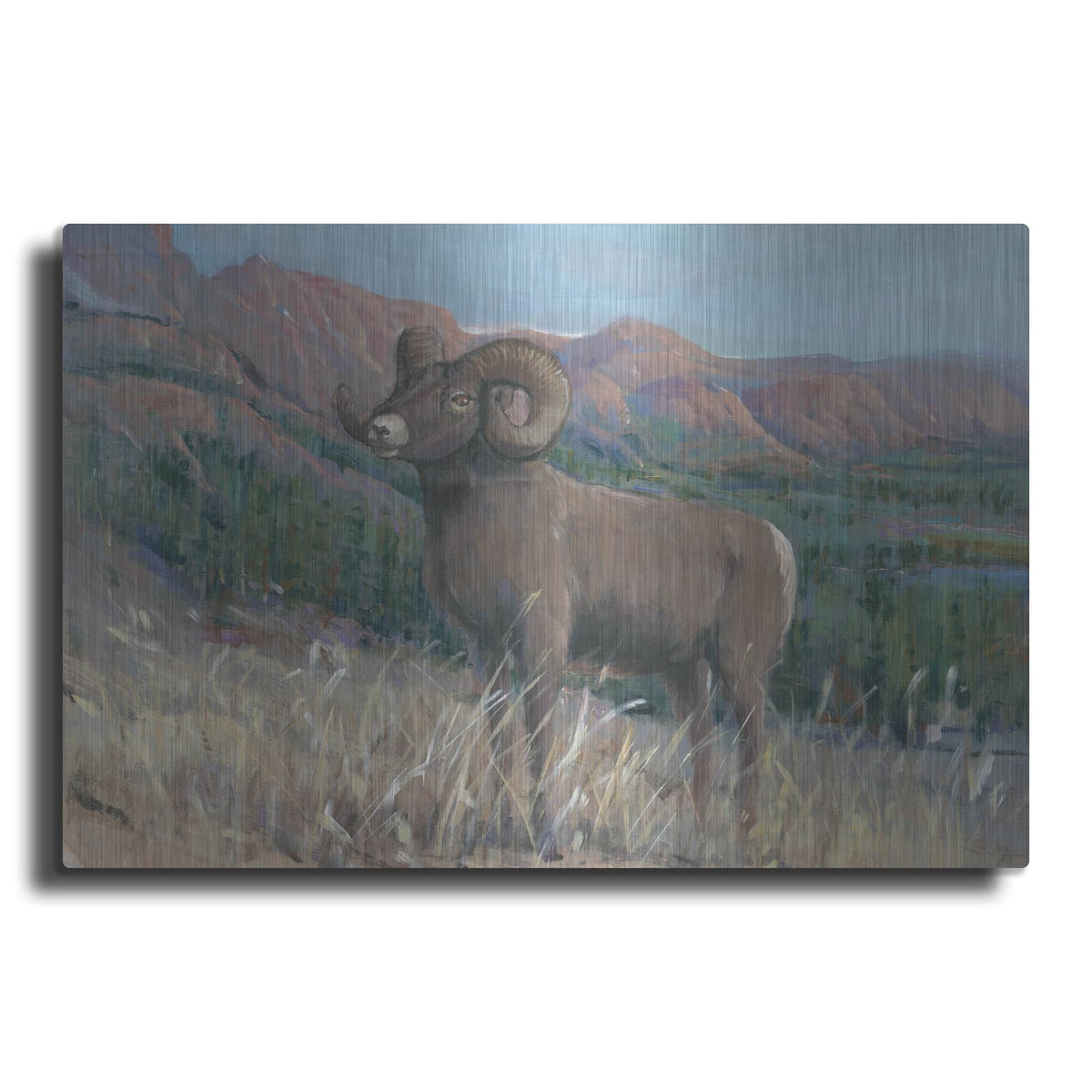 'Animals of the West IV' by Tim O'Toole – Metal Wall Art