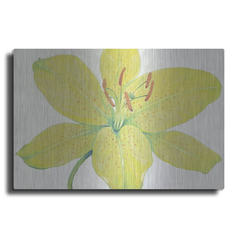 'Citron Tiger Lily I' by Tim O'Toole – Metal Wall Art