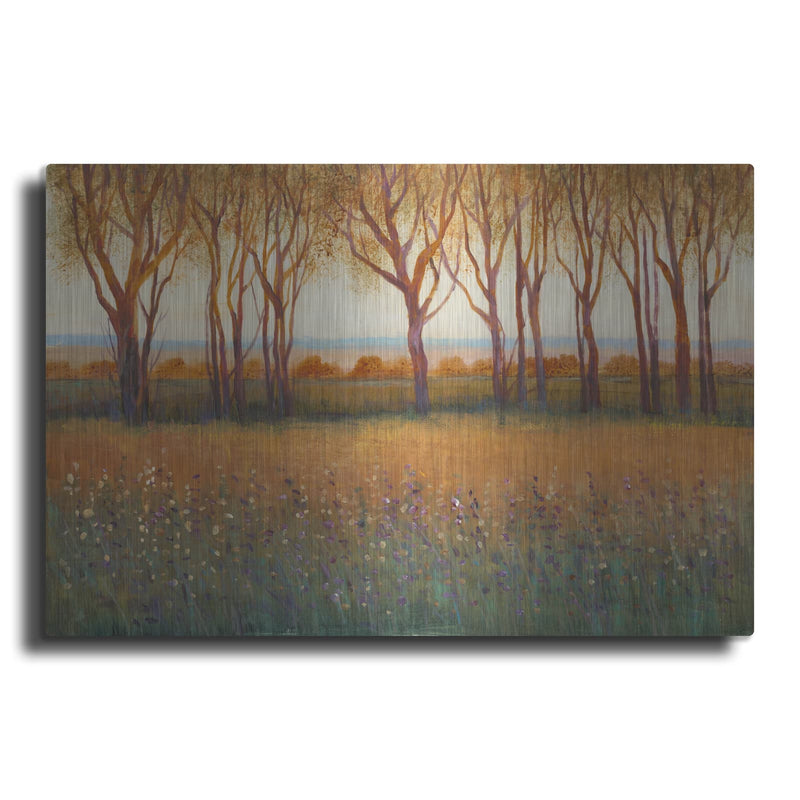 'Glow in the Afternoon I' by Tim O'Toole – Metal Wall Art