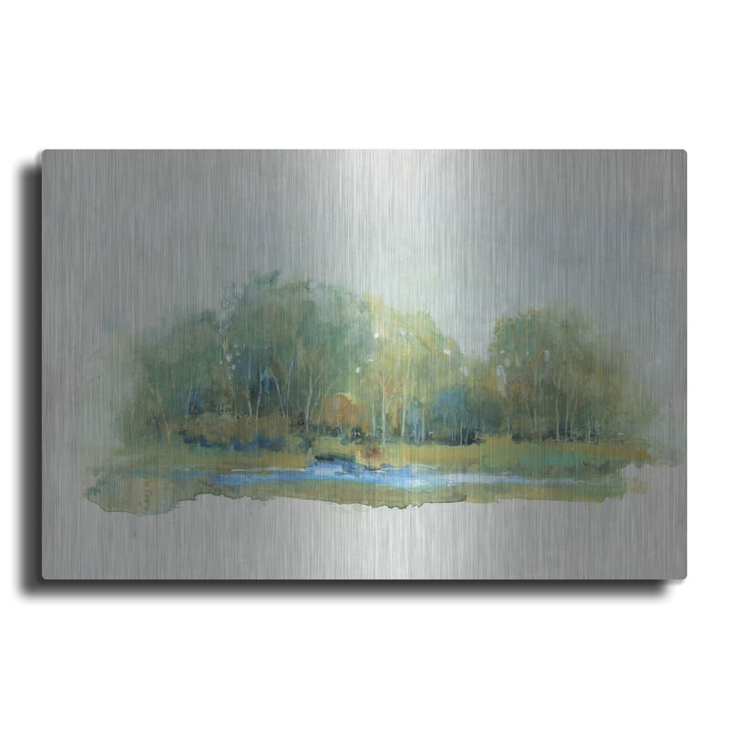 'Forest Vignette II' by Tim O'Toole – Metal Wall Art