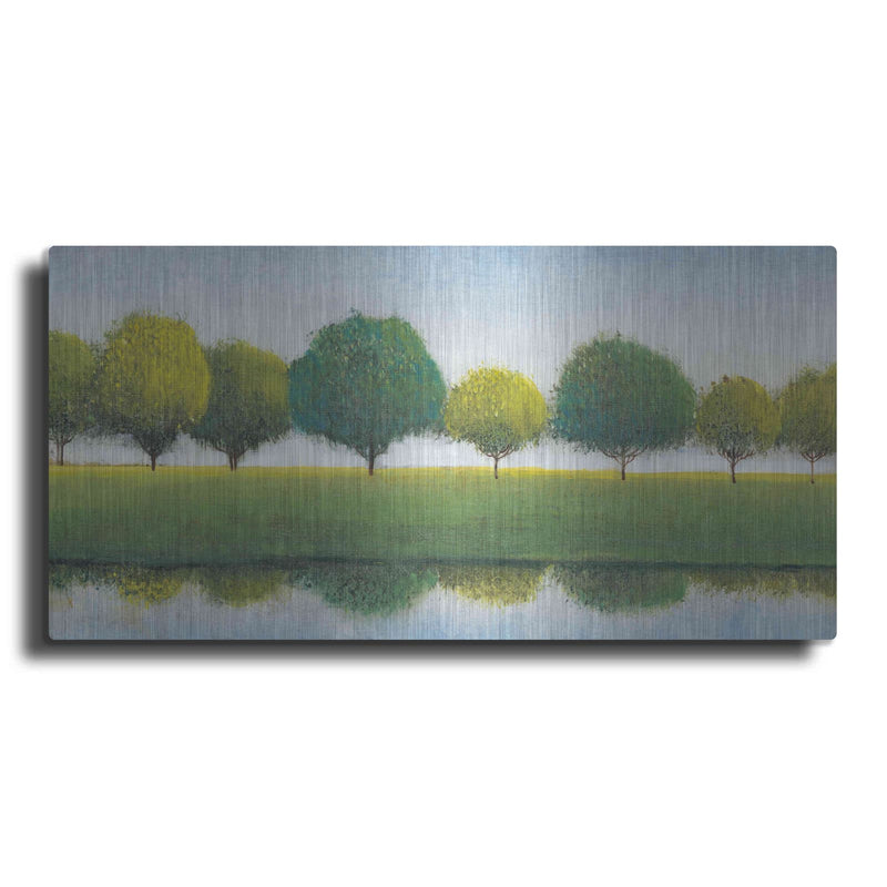 'Trees in a Line I' by Tim O'Toole – Metal Wall Art