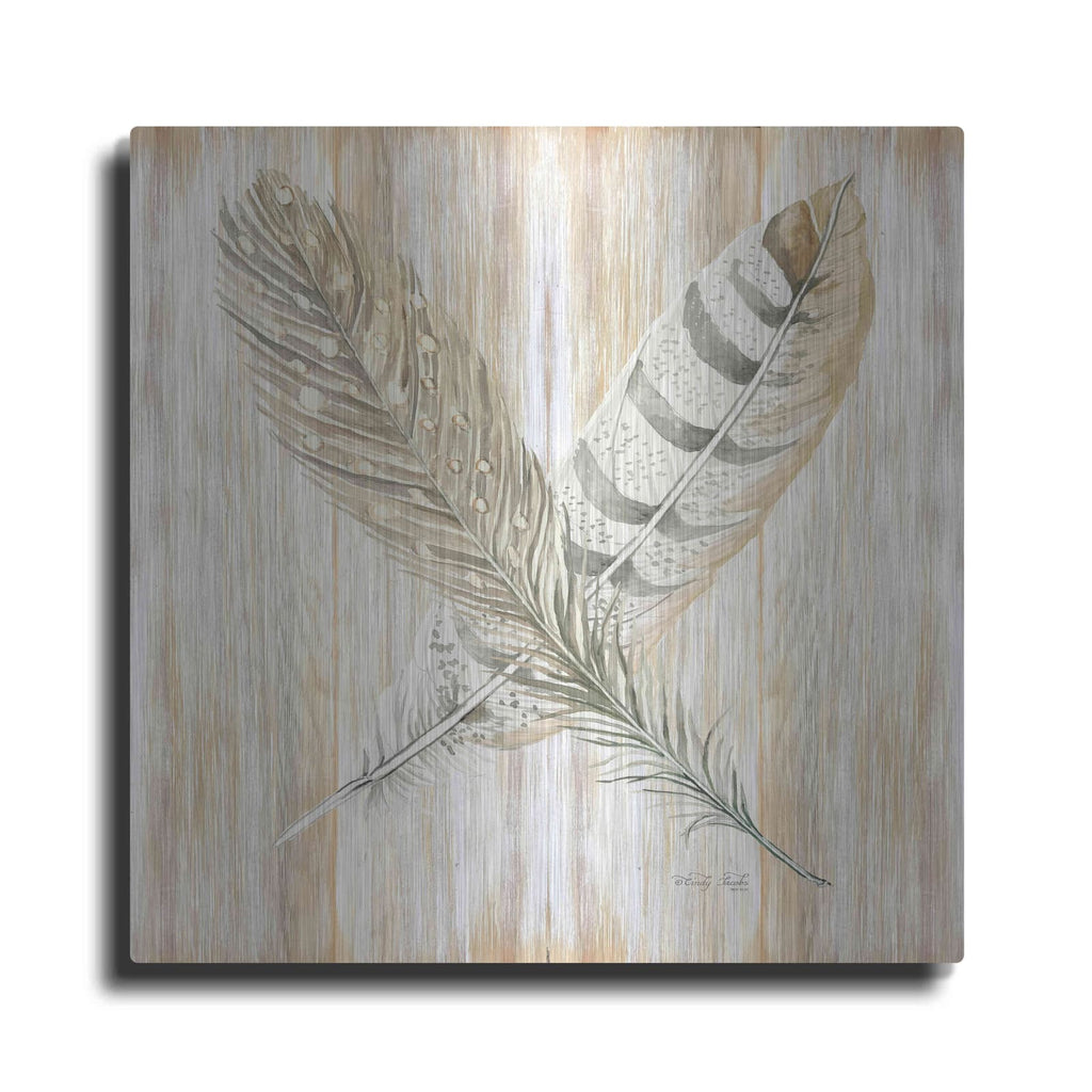 'Feathers Crossed II' by Cindy Jacobs – Metal Wall Art