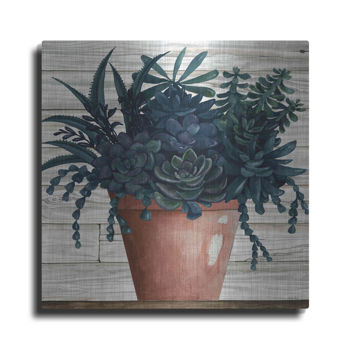 'Remarkable Succulents III' by Cindy Jacobs – Metal Wall Art