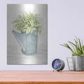 'Galvanized Watering Can' by Cindy Jacobs – Metal Wall Art, 12x16 room view