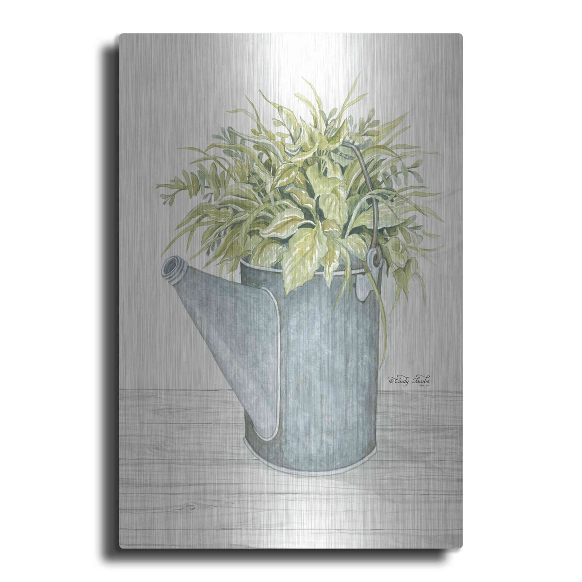 'Galvanized Watering Can' by Cindy Jacobs – Metal Wall Art