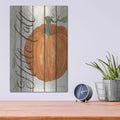 'Hello Fall Pumpkin on Shiplap' by Cindy Jacobs – Metal Wall Art, 12x16 room view