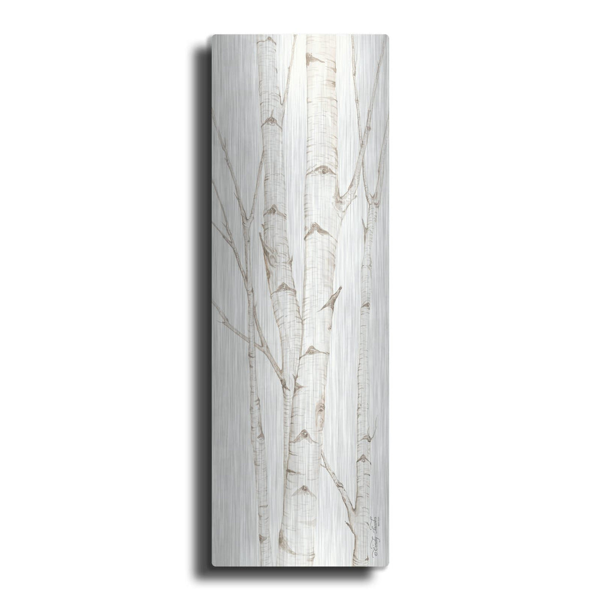 'Birch Trees II' by Cindy Jacobs – Metal Wall Art