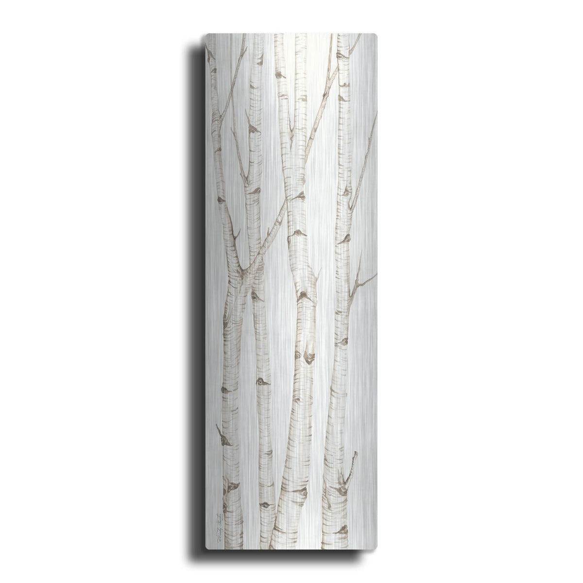 'Birch Trees III' by Cindy Jacobs – Metal Wall Art