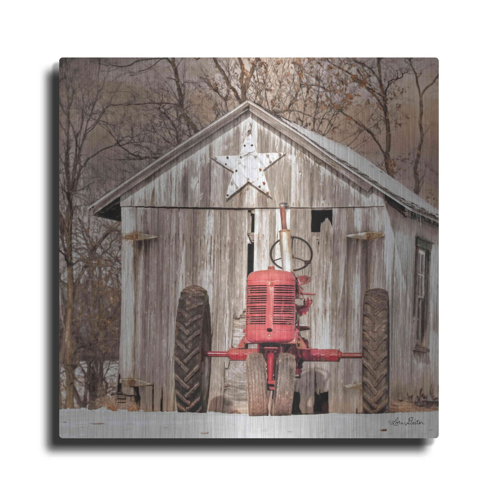 'Star Shed' by Lori Deiter – Metal Wall Art
