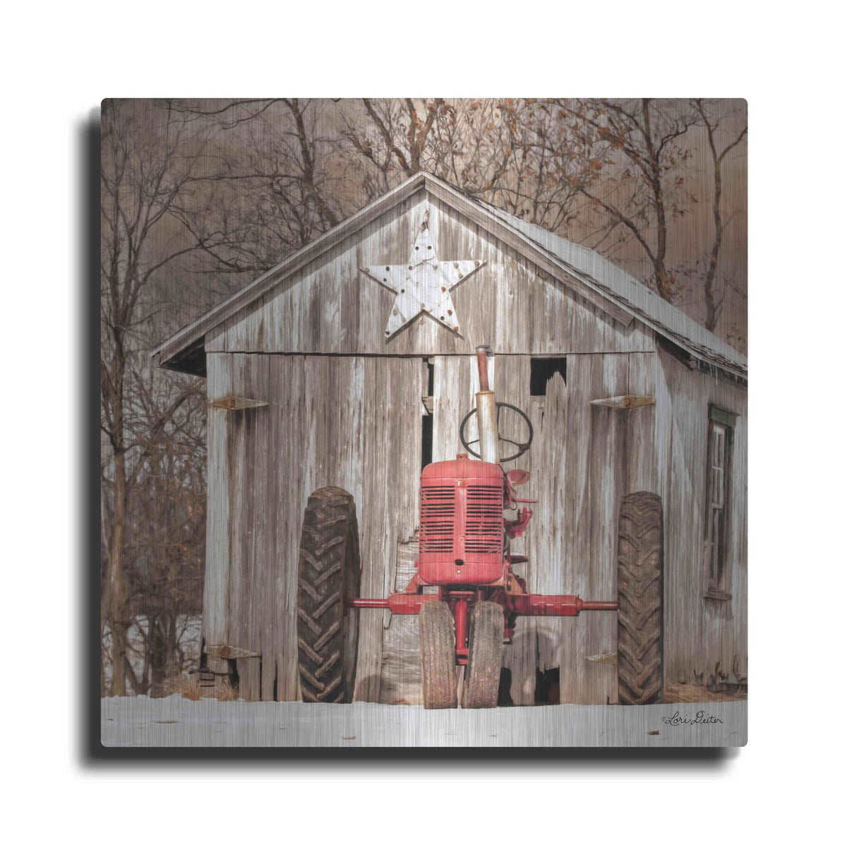 'Star Shed' by Lori Deiter – Metal Wall Art