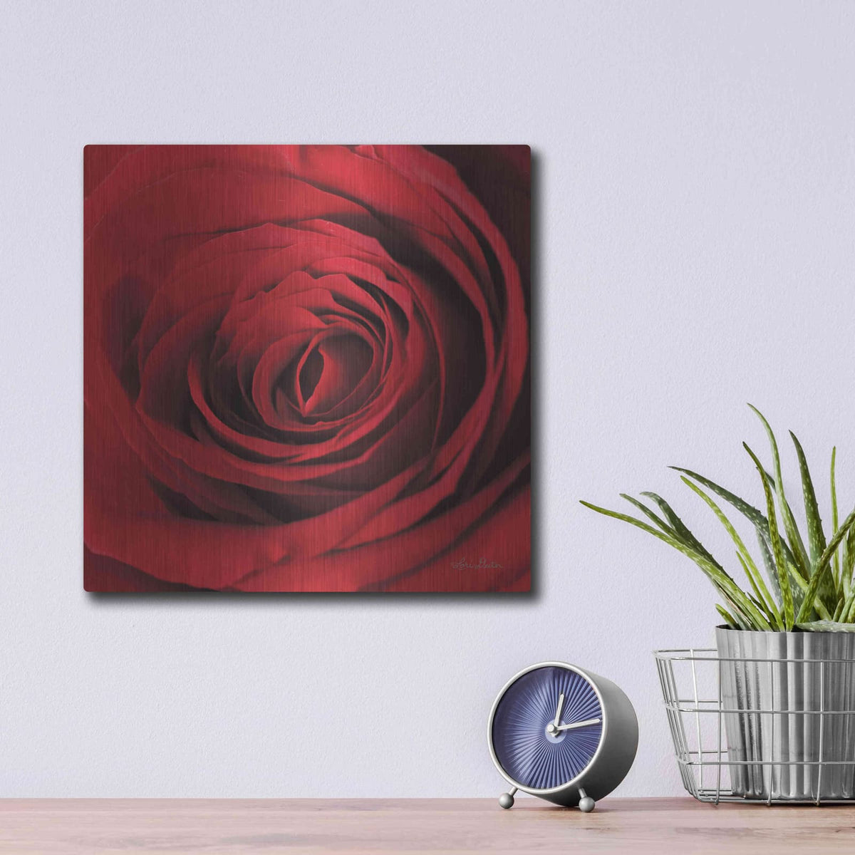 'The Red Rose II' by Lori Deiter – Metal Wall Art, 12x12 room view