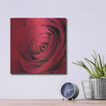 'The Red Rose III' by Lori Deiter – Metal Wall Art, 12x12 room view