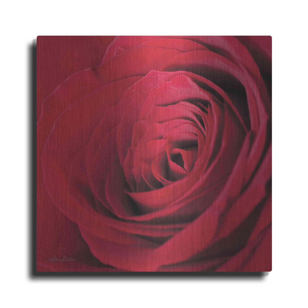 'The Red Rose III' by Lori Deiter – Metal Wall Art