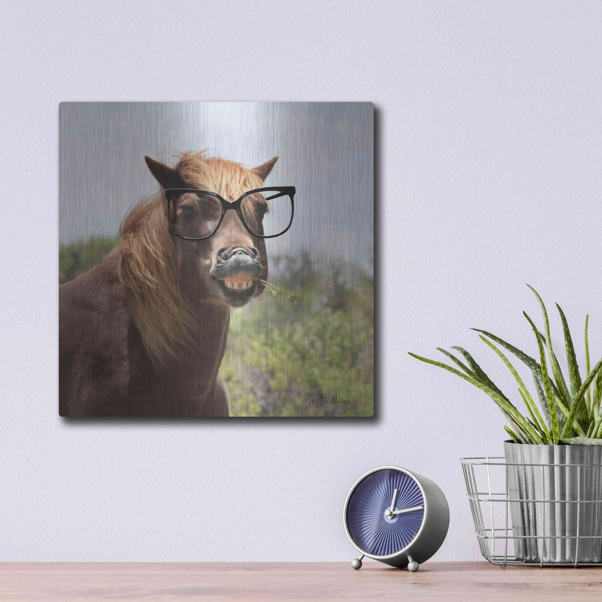 'Say Cheese Horse' by Lori Deiter – Metal Wall Art, 12x12 room view