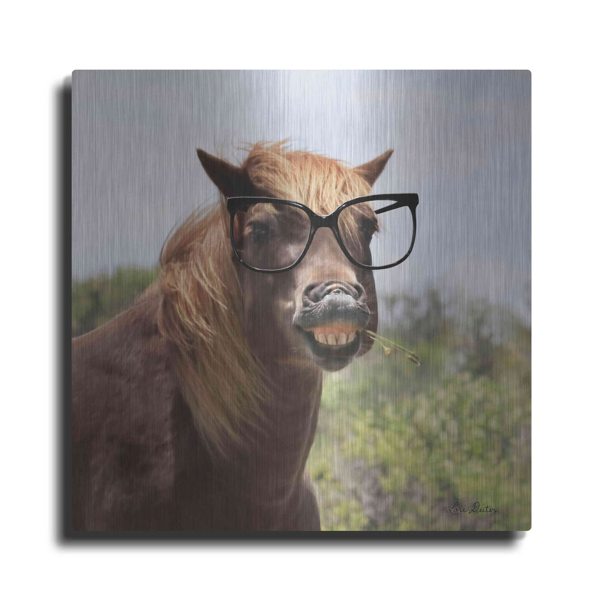 'Say Cheese Horse' by Lori Deiter – Metal Wall Art