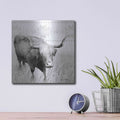 'I Want a Nose Ring' by Lori Deiter – Metal Wall Art, 12x12 room view