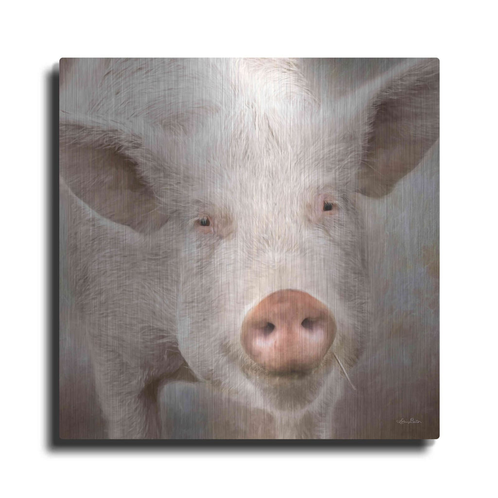 'Pig Face' by Lori Deiter – Metal Wall Art
