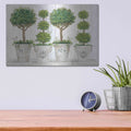 'Topiary Still Life' by Cindy Jacobs – Metal Wall Art, 16x12 room view