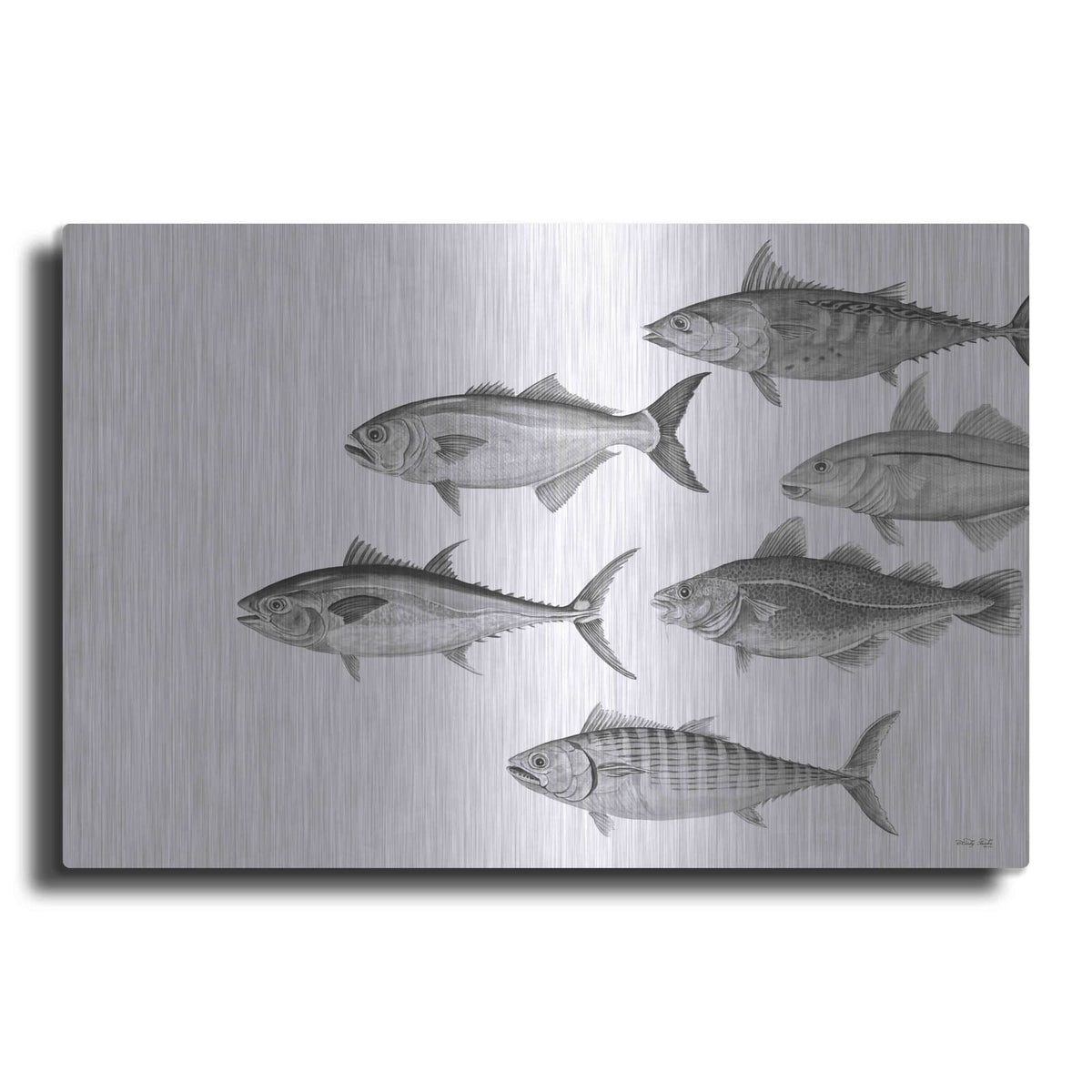 'Variety of Fish II' by Cindy Jacobs – Metal Wall Art