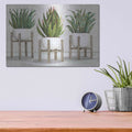 'Succulent Trio on Stands' by Cindy Jacobs – Metal Wall Art, 16x12 room view