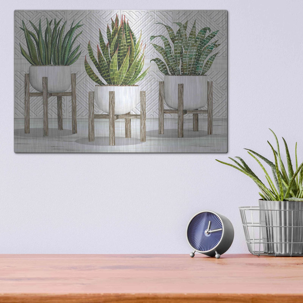 'Succulent Trio on Stands' by Cindy Jacobs – Metal Wall Art, 16x12 room view