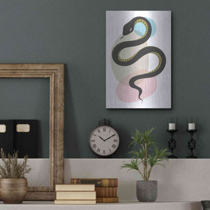 Luxe Metal Art 'Snake' by Ayse, Metal Wall Art,12x16