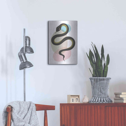 Luxe Metal Art 'Snake' by Ayse, Metal Wall Art,16x24