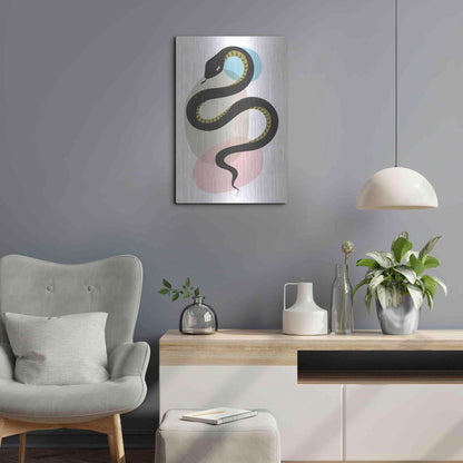 Luxe Metal Art 'Snake' by Ayse, Metal Wall Art,16x24