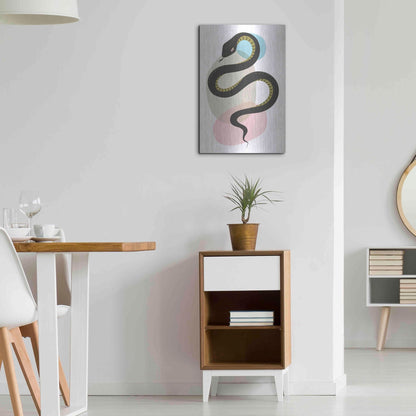 Luxe Metal Art 'Snake' by Ayse, Metal Wall Art,16x24