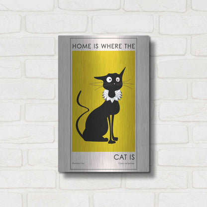 Luxe Metal Art 'Home Is where The Cat Is' by Ayse, Metal Wall Art,12x16