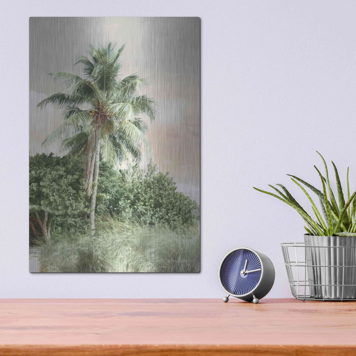 'Sanibel Island Palm' by Lori Deiter – Metal Wall Art, 12x16 room view